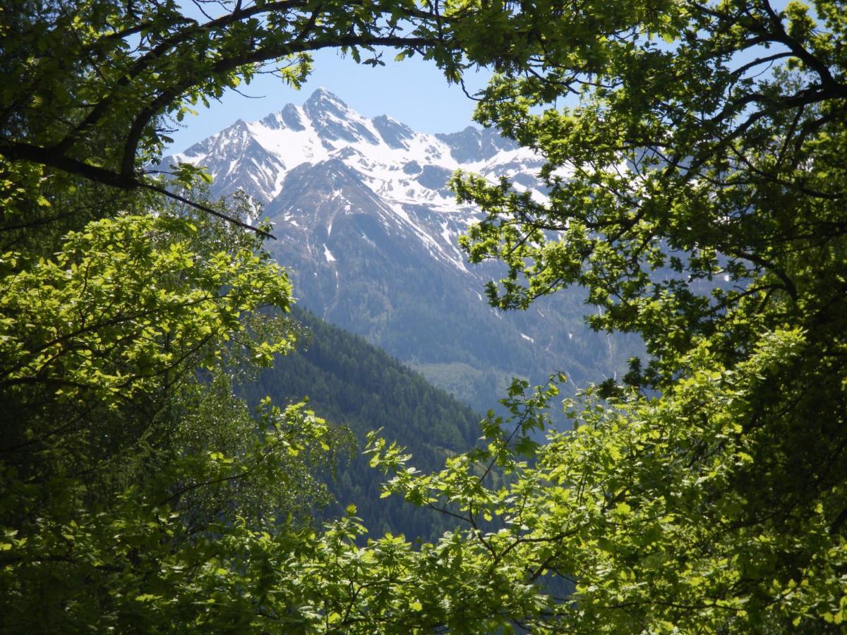 Appart Burgwies Ink Nationalpark Sommercard Stuhlfelden Екстер'єр фото